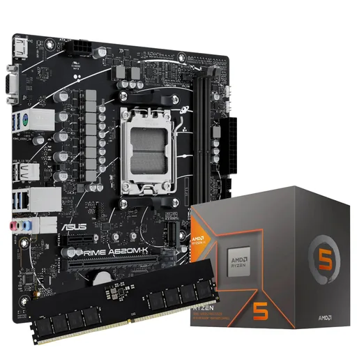 Combo Actualización AMD Ryzen 5 8600G 16GB