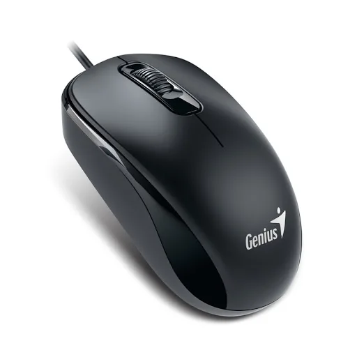 Mouse Genius DX-120 USB Black