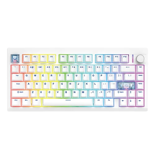 Teclado Mecánico Fantech MAXFIT8 Brown Switch Ingles Wireless Blanco RGB
